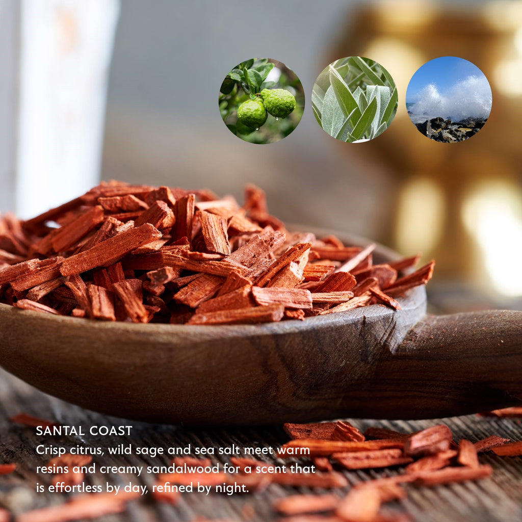 Santal Coast Bar Soap
